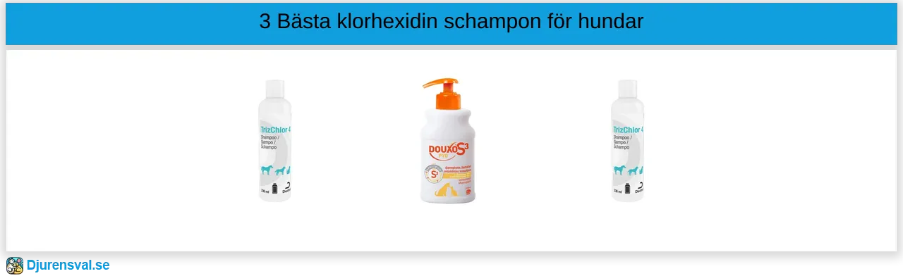 Klorhexidin schampo för hund bäst i test