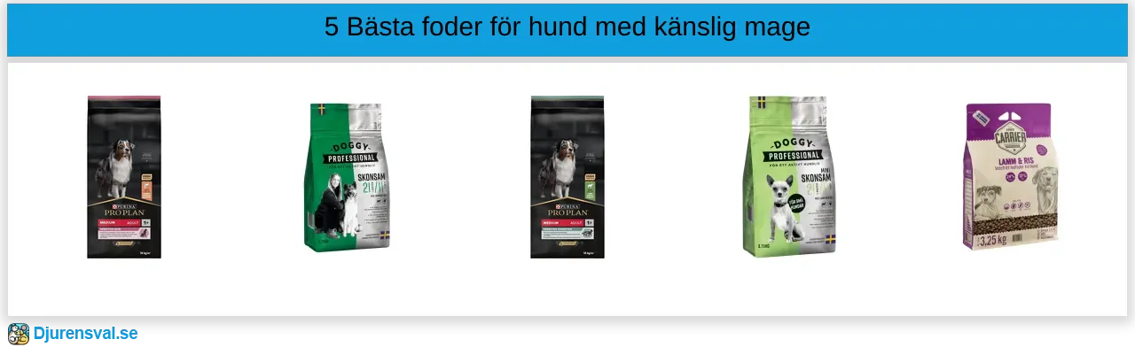 Foder för hund med känslig mage bäst i test