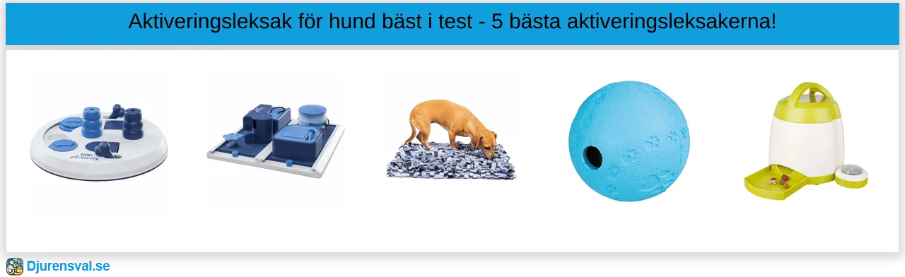 Aktiveringsleksak för hund bäst i test