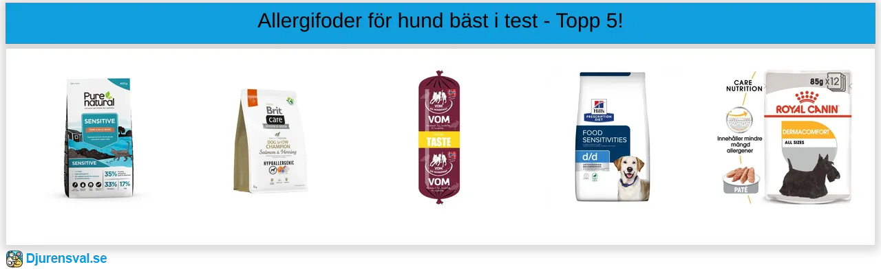 Allergifoder för hund bäst i test