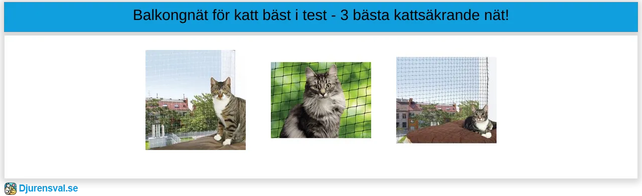 Balkongnät för katt bäst i test