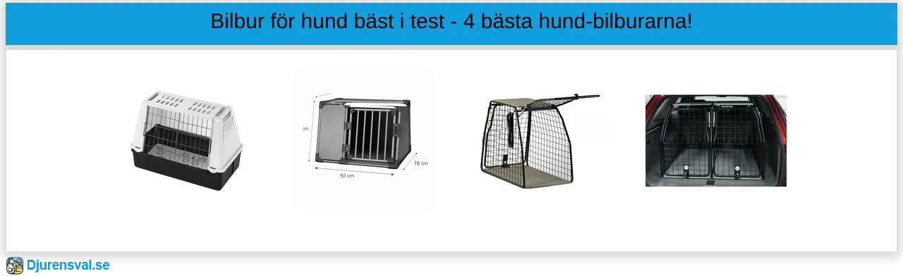 Bilbur hund bäst i test