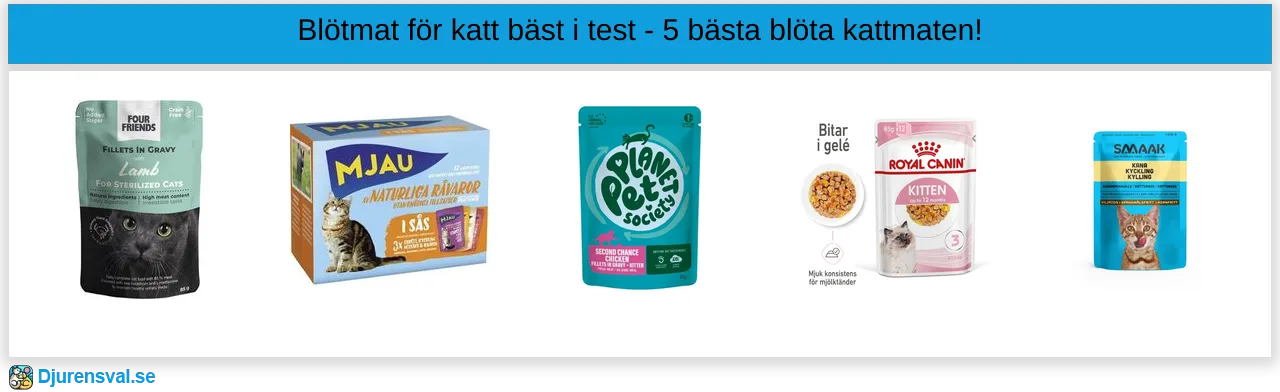 Blötmat för katt bäst i test