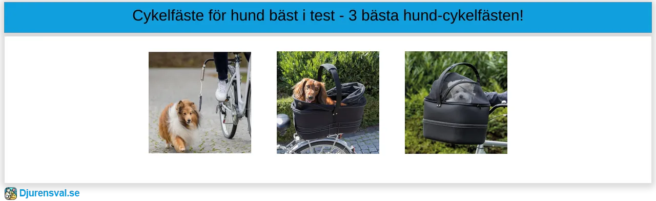 Cykelfäste för hund bäst i test