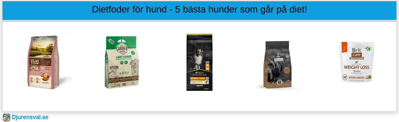 Dietfoder för hund bäst i test