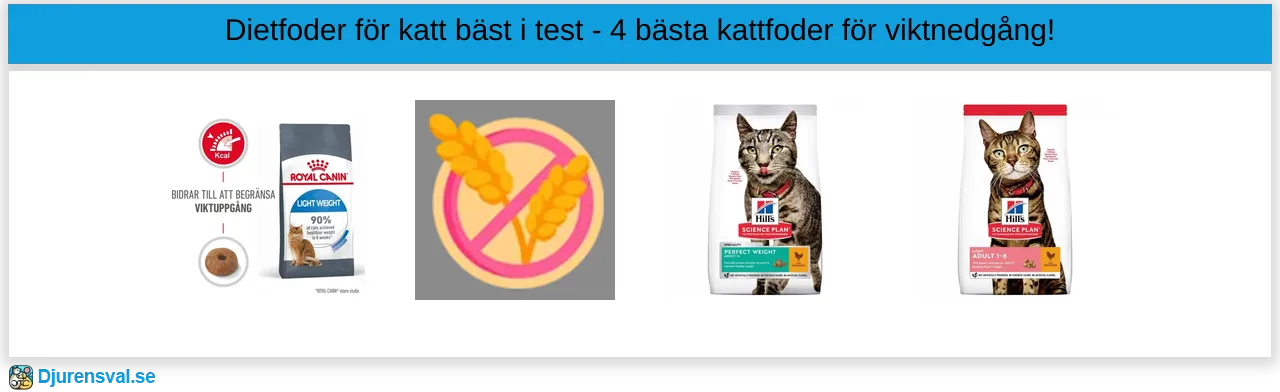 Dietfoder för katt bäst i test