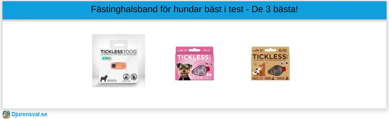 Fästinghalsband för hund bäst i test