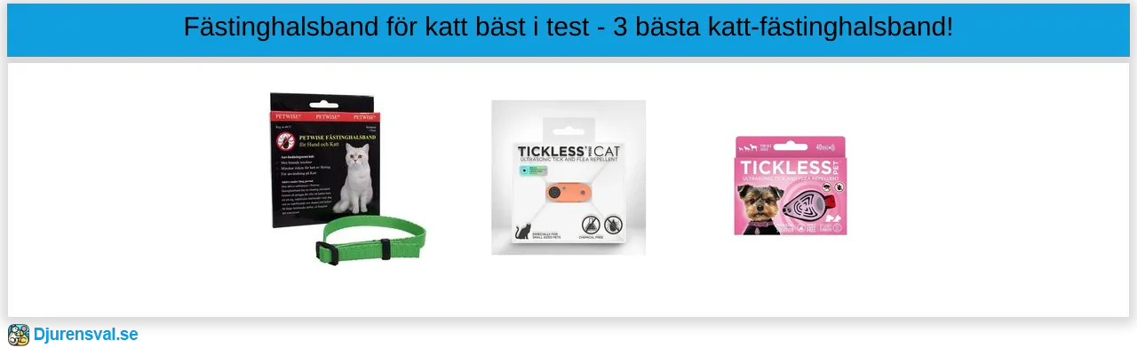 Fästinghalsband för katt bäst i test