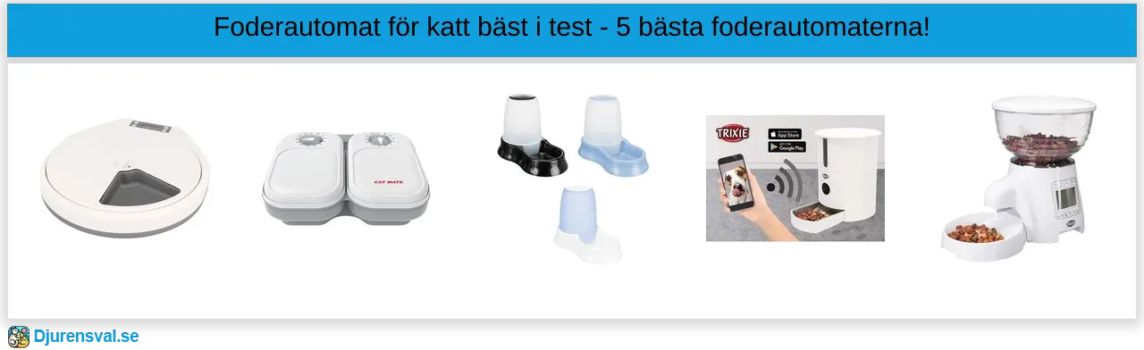 Foderautomat för katt bäst i test