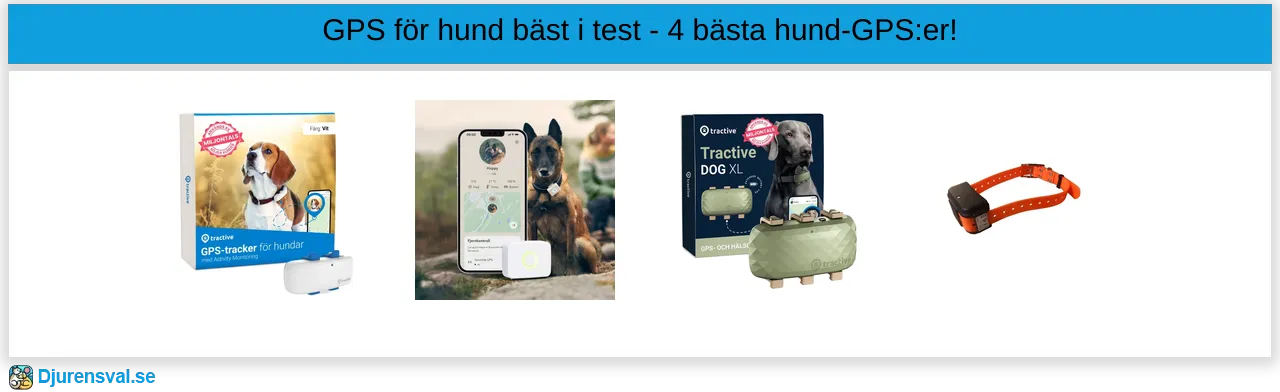 Gps hund bäst i test