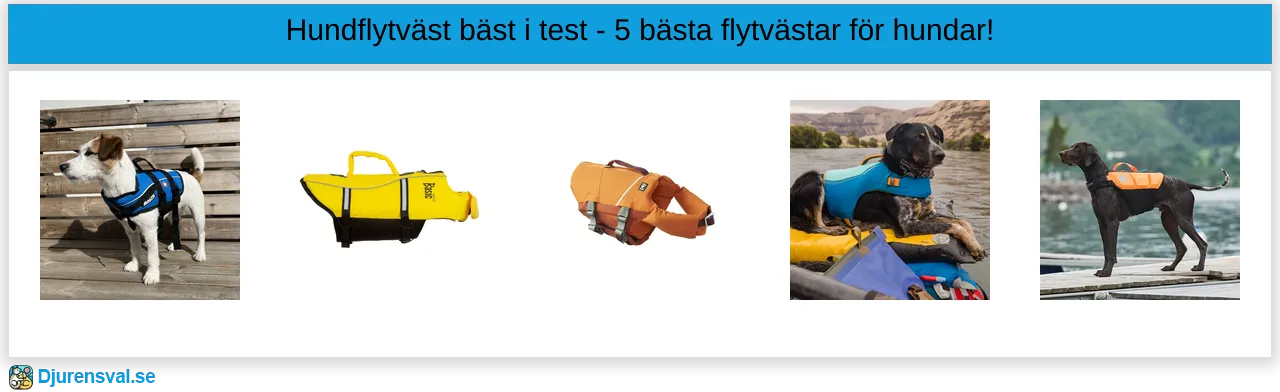 Hundflytväst bäst i test