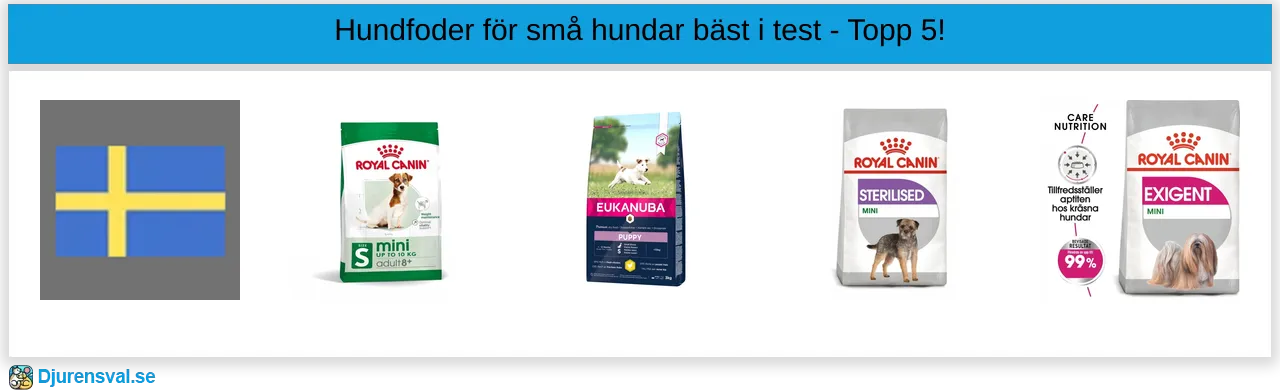 Hundfoder för små hundar bäst i test