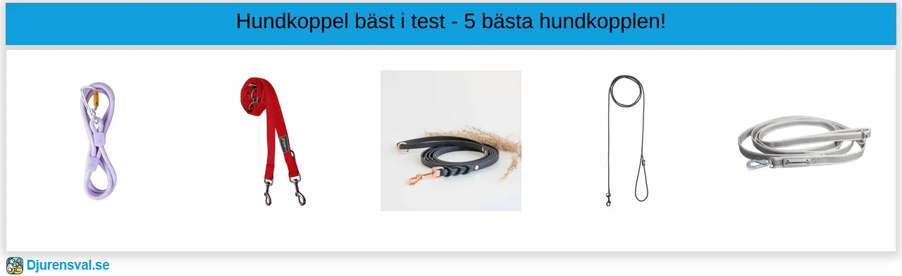 Hundkoppel bäst i test