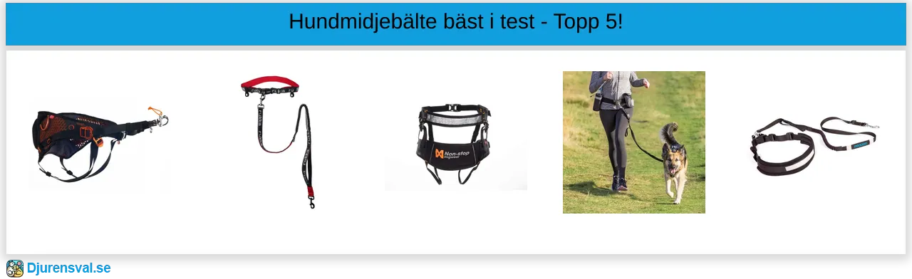 Hundmidjebälte bäst i test