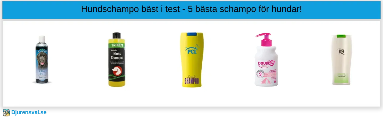 Hundschampo bäst i test