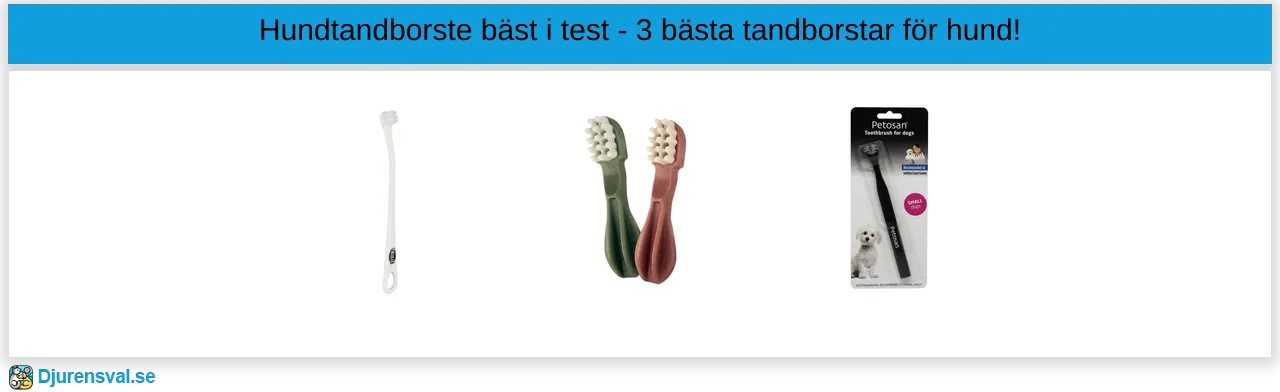 Hundtandborste bäst i test