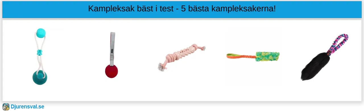 Kampleksak bäst i test