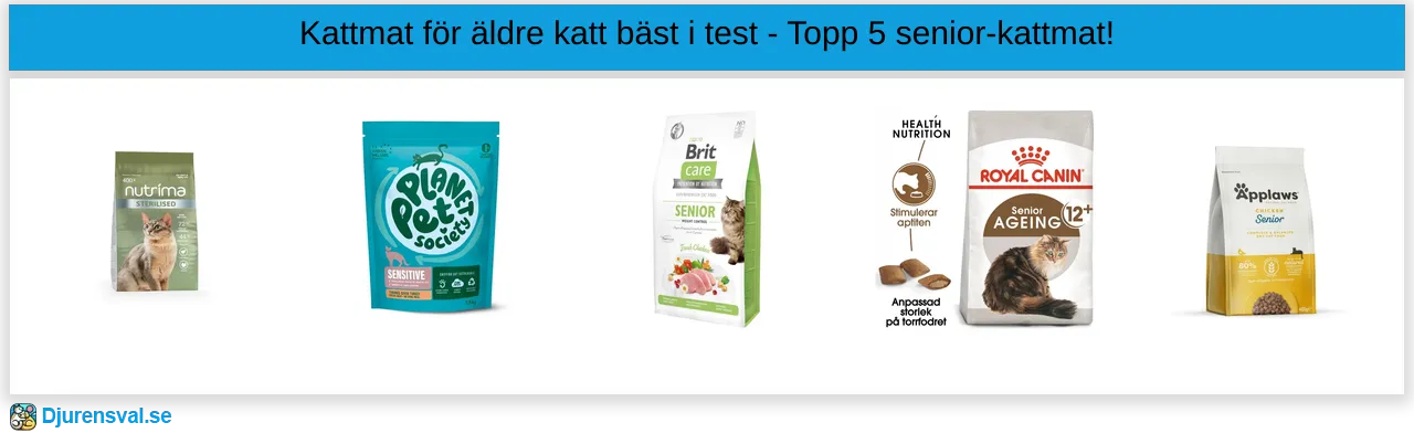 Kattmat för äldre katt bäst i test