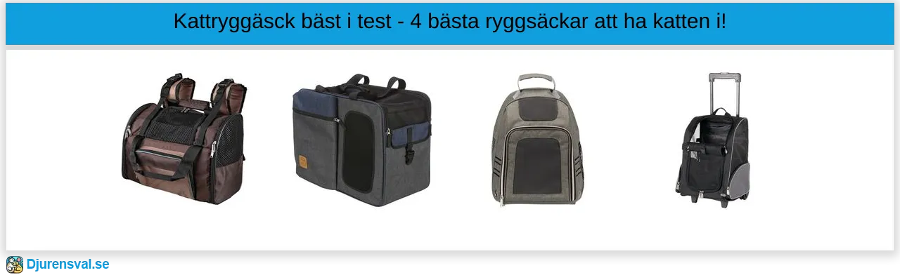 Kattryggsäck bäst i test