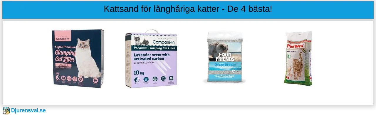 Kattsand för långhårig katt bäst i test