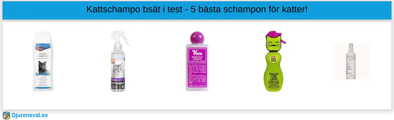 Kattschampo bäst i test