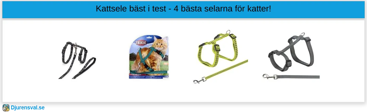 Kattsele bäst i test