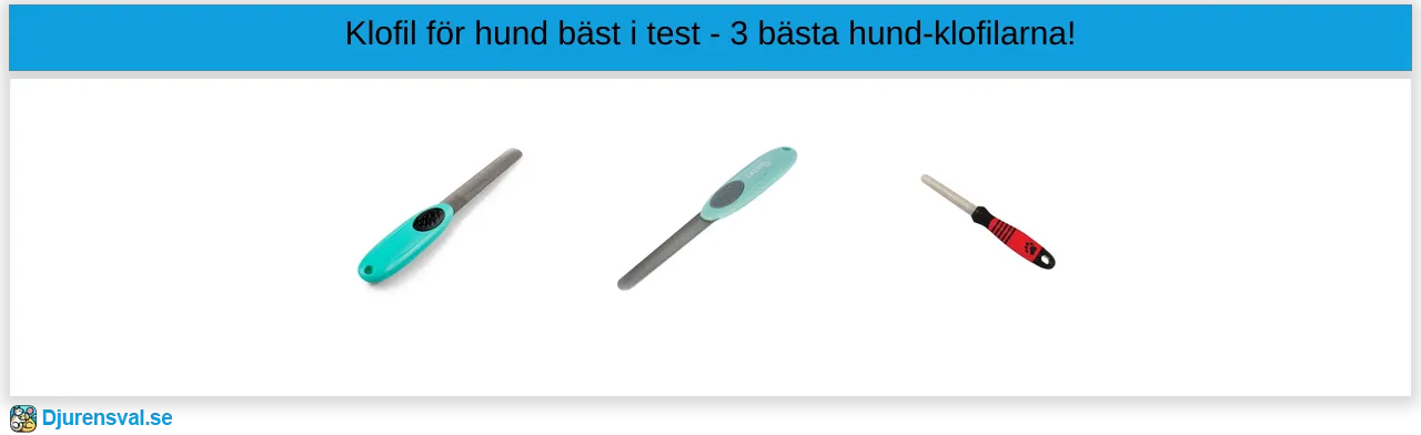 Klofil för hund bäst i test