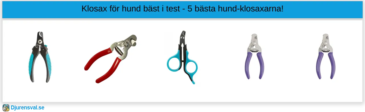 Klosax för hund bäst i test