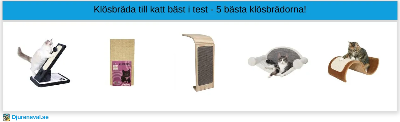 Klösbräda till katt bäst i test