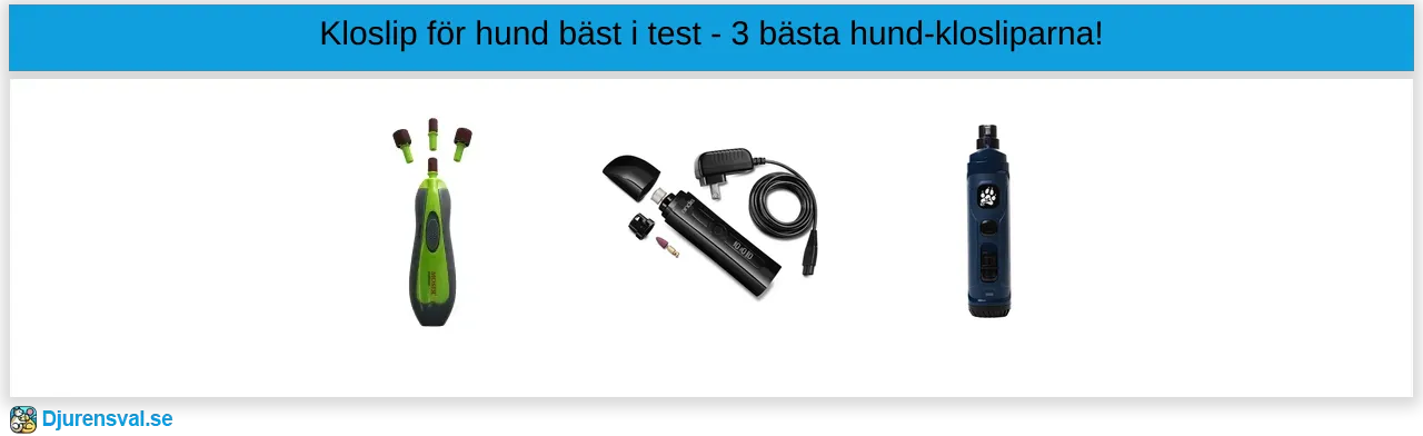 Kloslip hund bäst i test