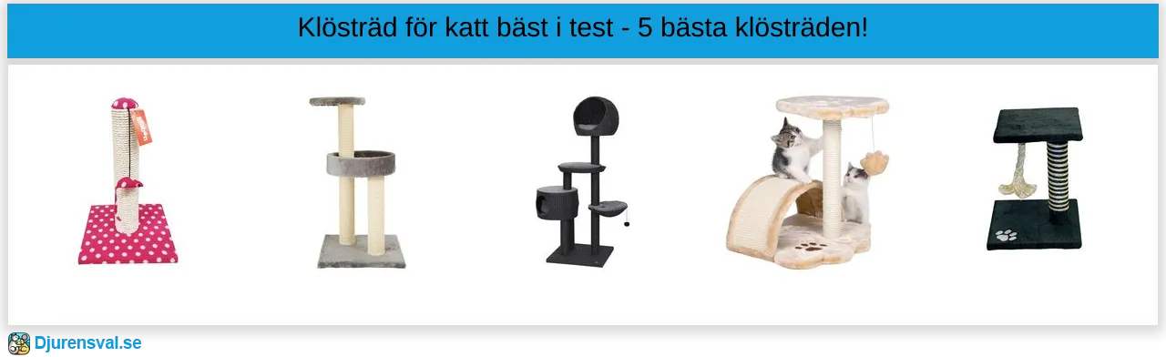 Klösträd för katt bäst i test