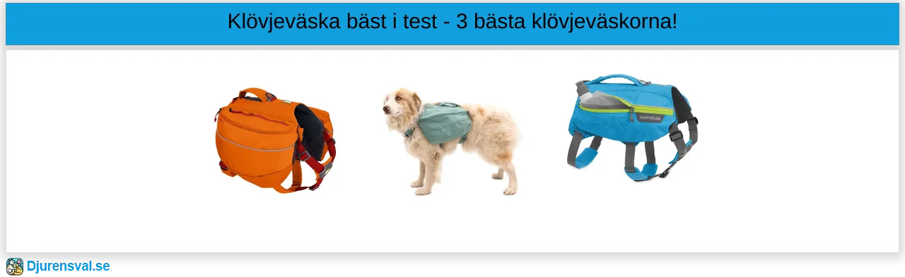 Klövjeväska bäst i test