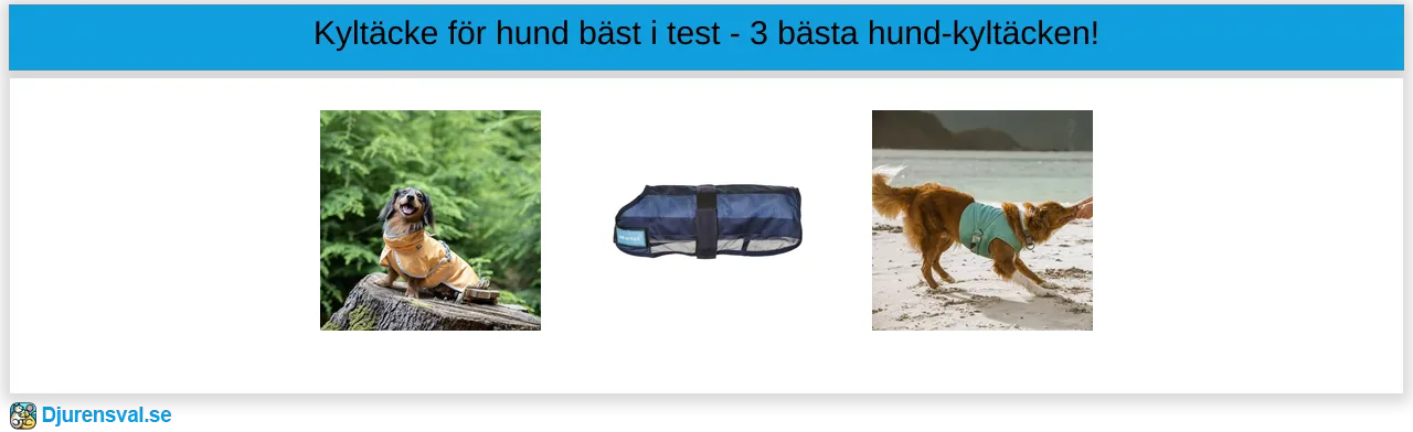 Kyltäcke för hund bäst i test