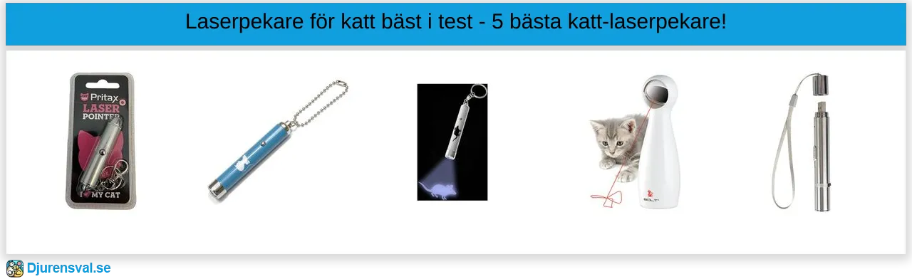 Laserpekare för katt bäst i test