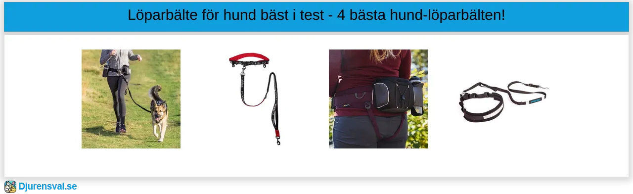 Löparbälte för hund bäst i test