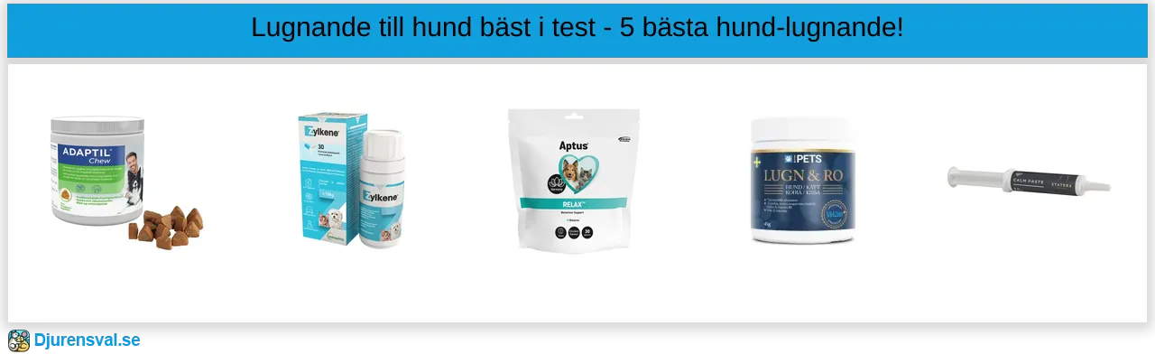 Lugnande till hund bäst i test