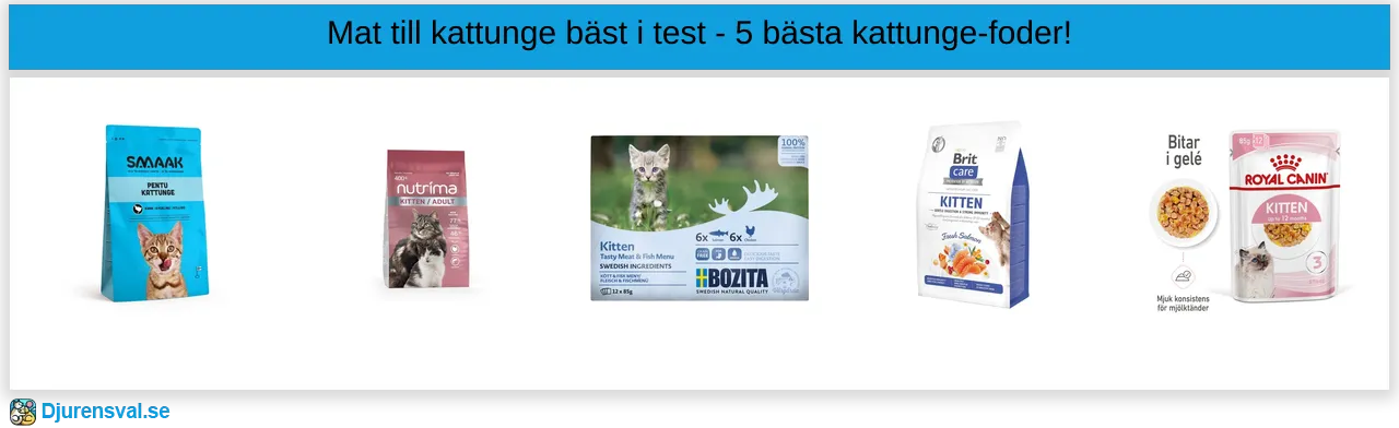 Mat till kattunge bäst i test