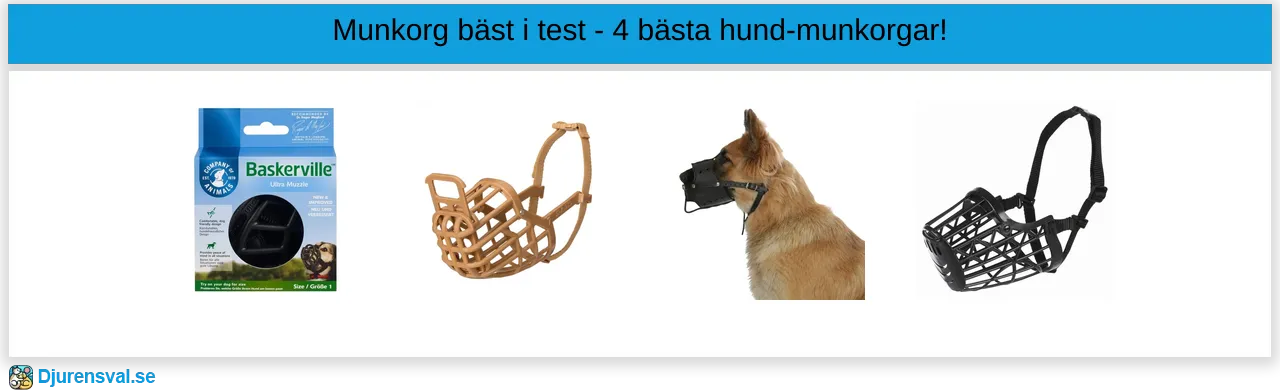 Munkorg bäst i test