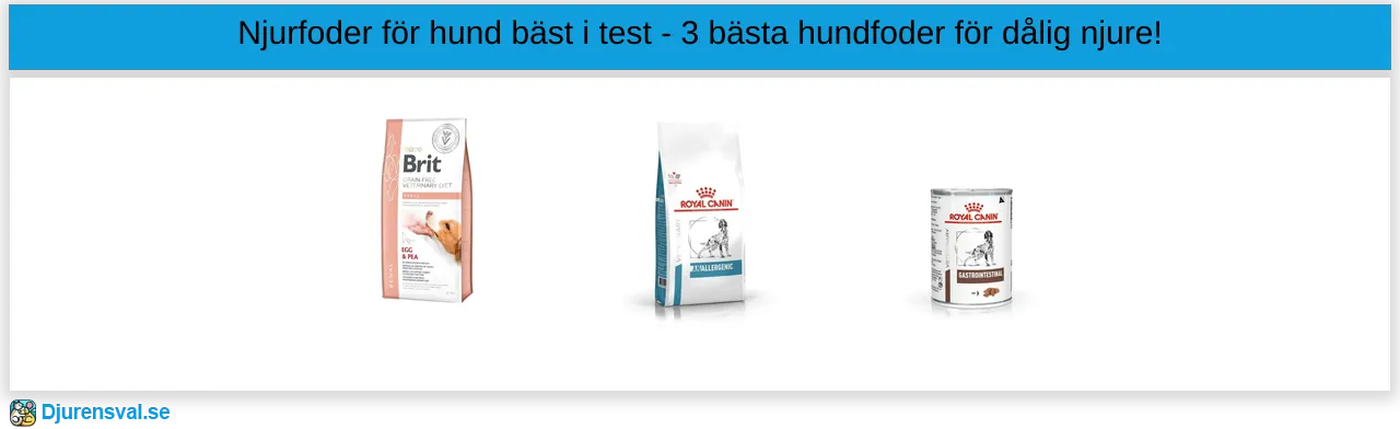 Njurfoder för hund bäst i test