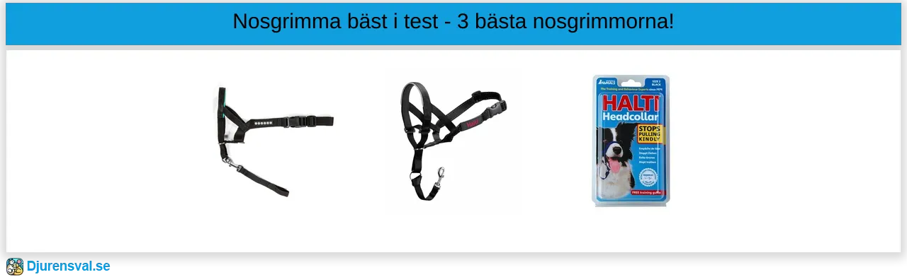 Nosgrimma bäst i test