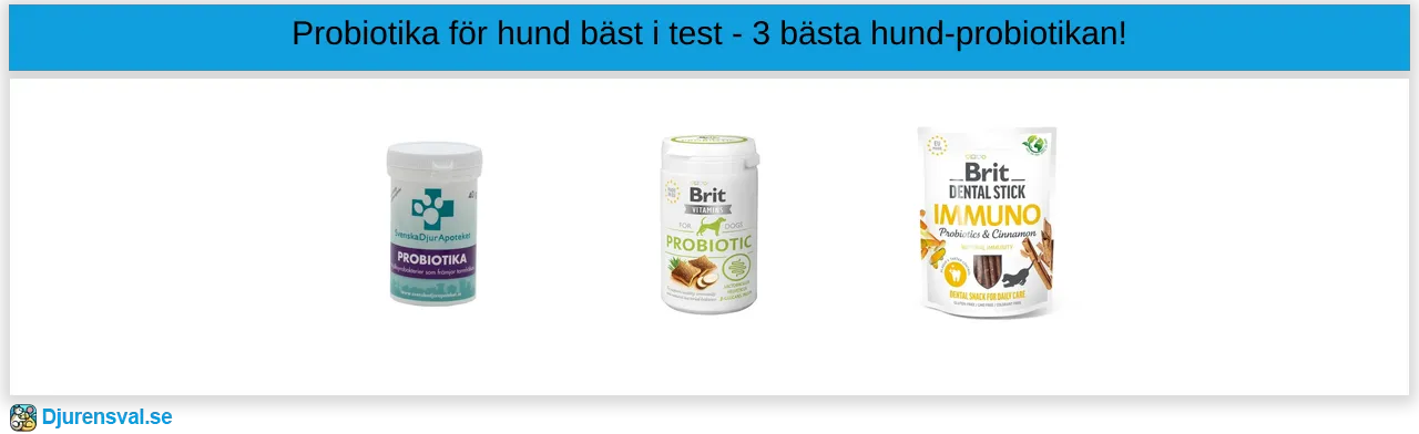 Probiotika för hund bäst i test