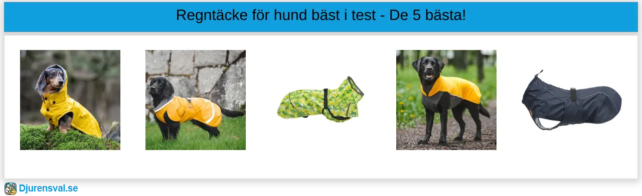 Regntäcke för hund bäst i test