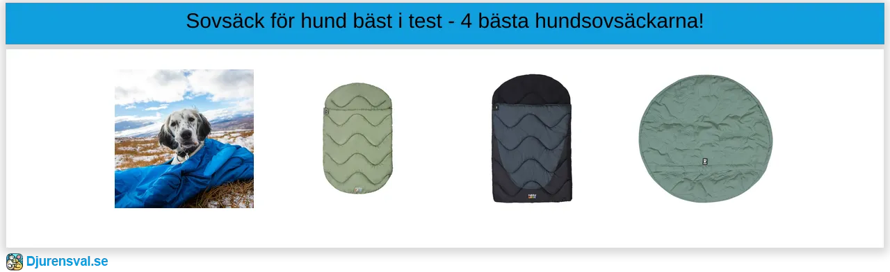 Hundsovsäck bäst i test