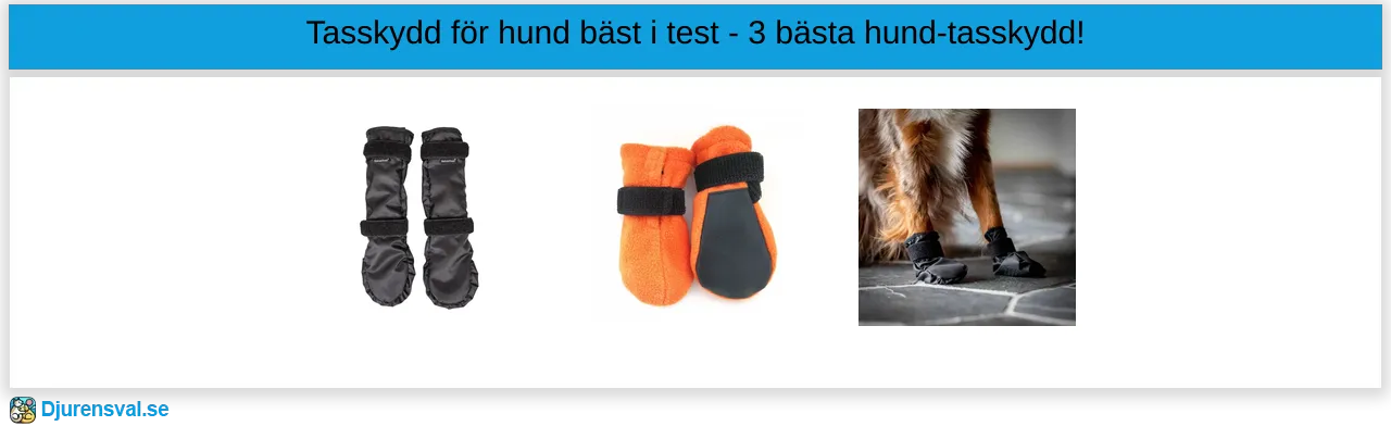 Tasskydd för hund bäst i test