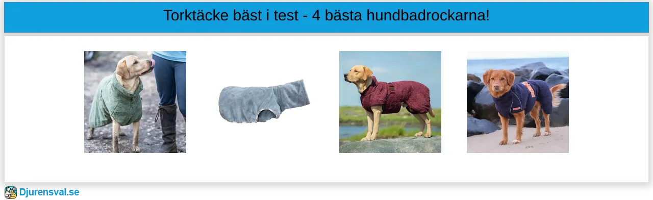 Torktäcke för hund bäst i test