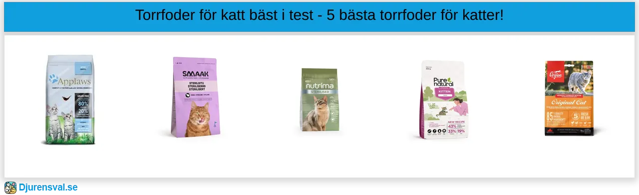 Torrfoder för katt bäst i test