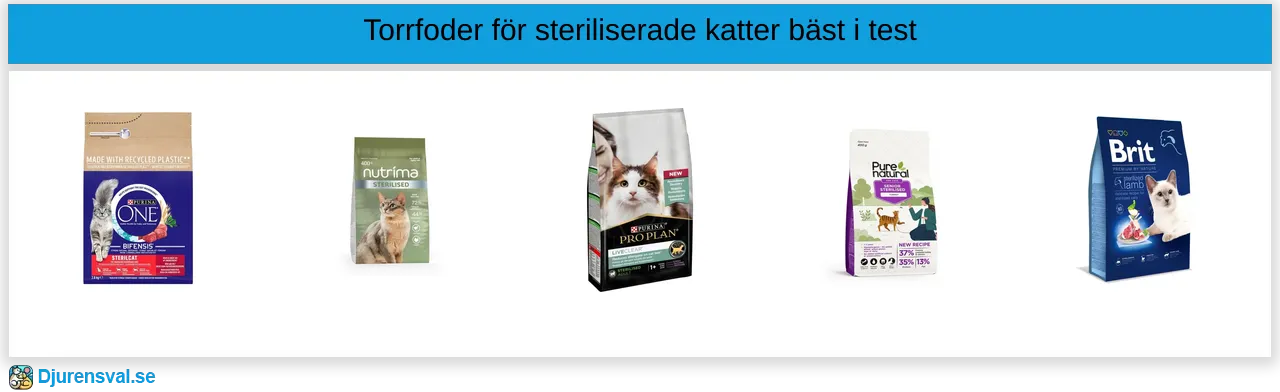 Torrfoder för steriliserad katt bäst i test