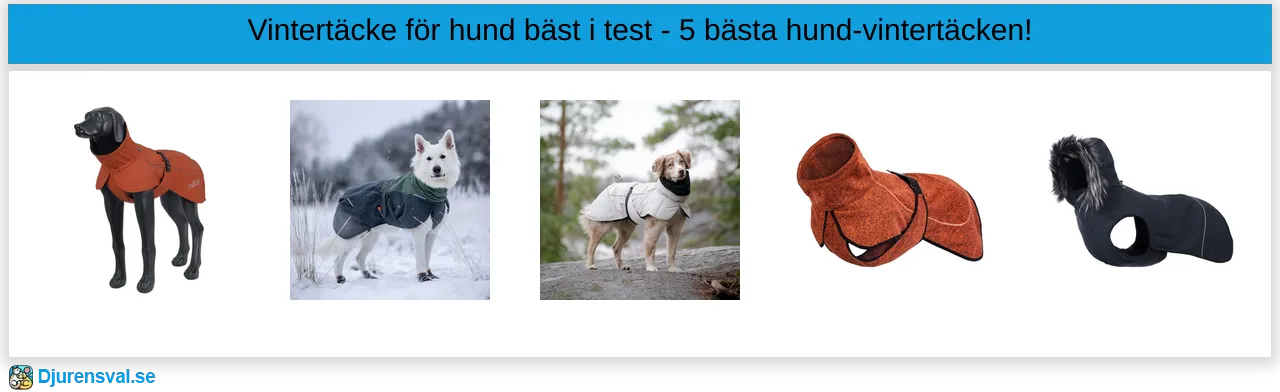 Vintertäcke för hund bäst i test